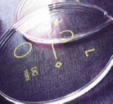 �����߃����Y